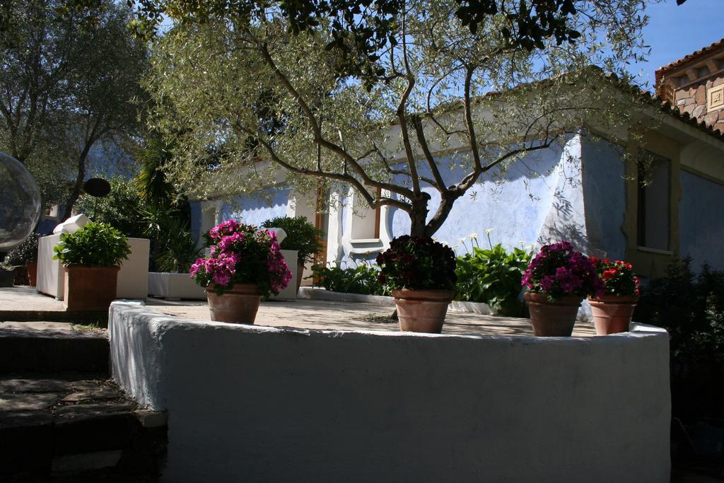 Residenza Di Campagna Seranile Dorgali Exterior foto