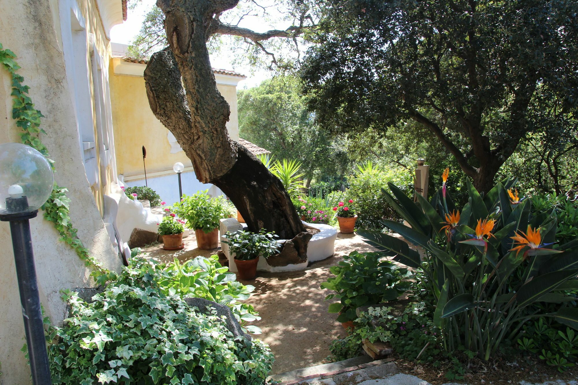 Residenza Di Campagna Seranile Dorgali Exterior foto
